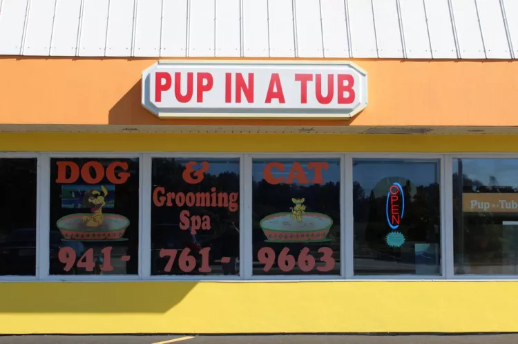 Pup In A Tub, Florida, Bradenton